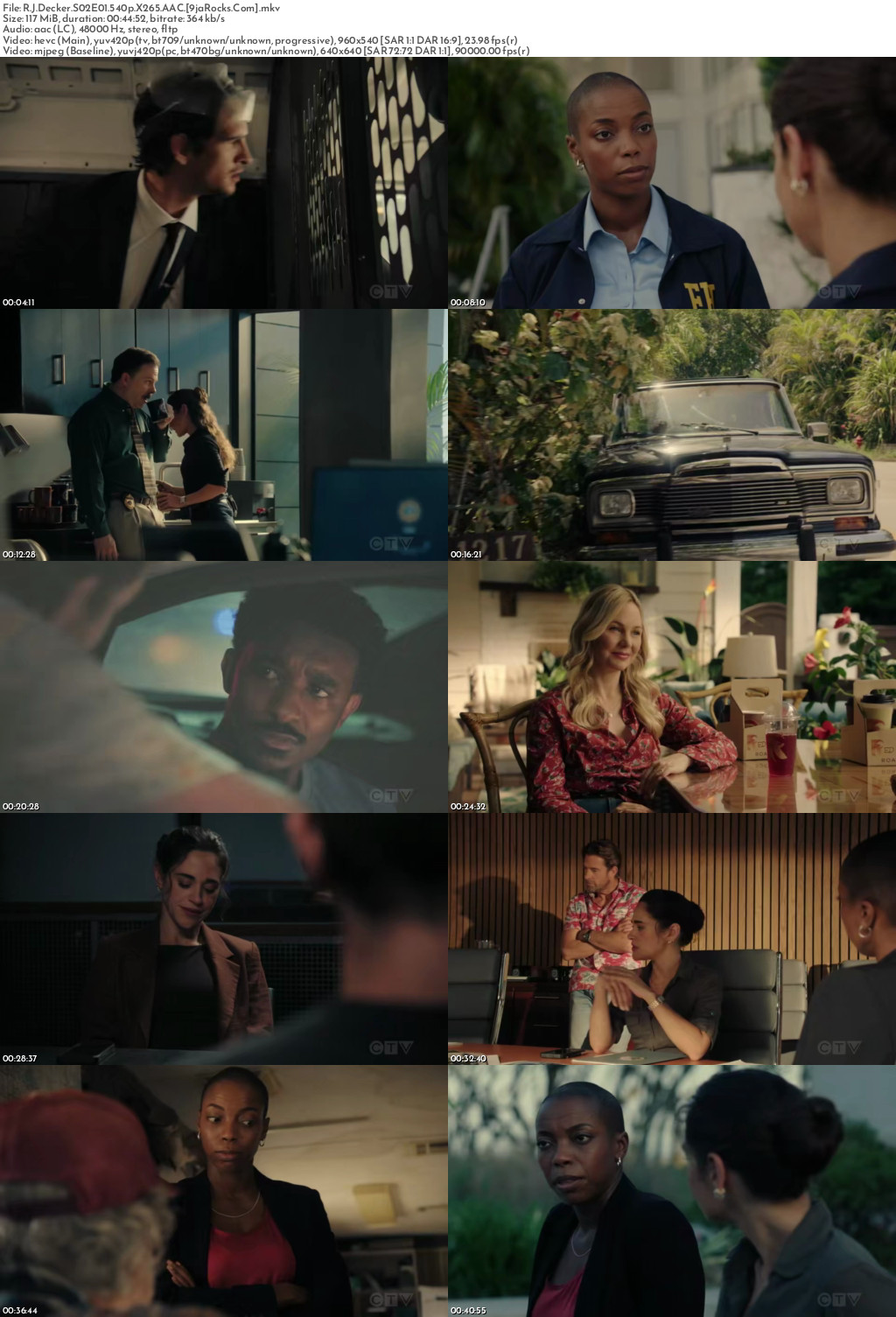 R.J. Decker (2026 TV Series) Season 2 Screenshot 1